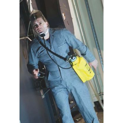 Picture of MSA TransAire®10