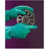 Picture of LAKELAND Nitrosol™ Nitrile